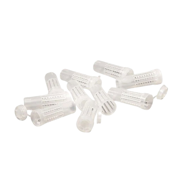 Ana Arı Larva Gözü Kafesi (Bigudi) 50 Adet