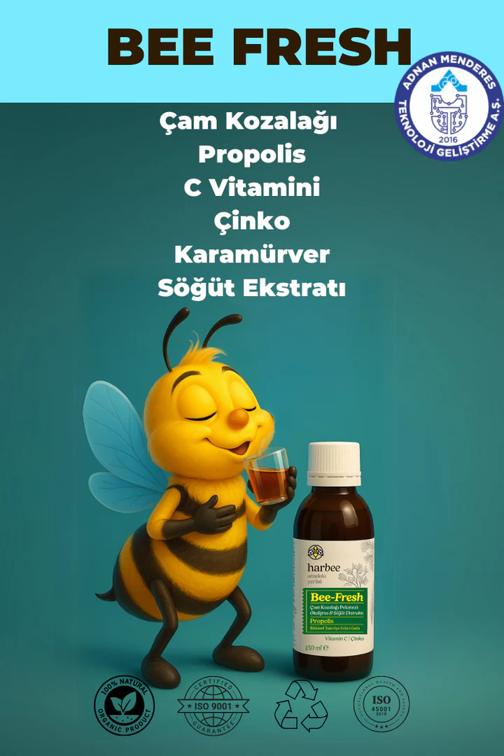 Çam Kozalağı Propolis Şurup 150 ml – C Vitamini, Çinko, Karamürver & Söğüt Ekstratı | Harbee Bee Fresh
