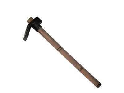 Arıcı Keseri (Normal)