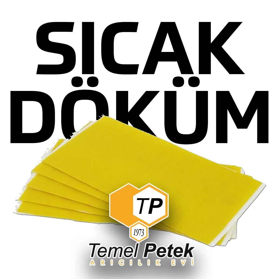 Temel Petek Sıcak Döküm 100 Kg  - 21*41